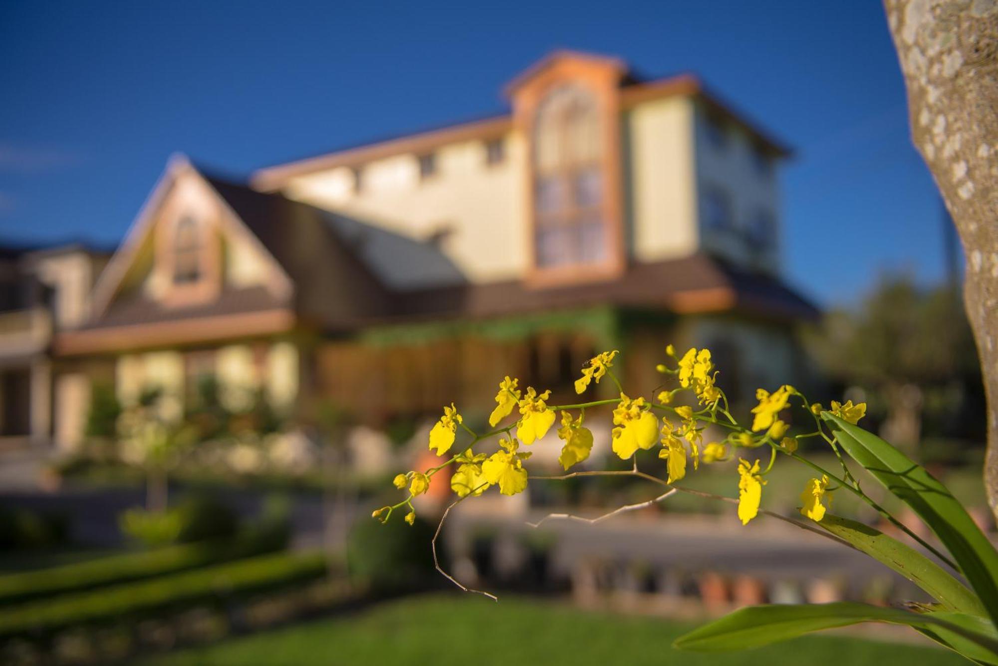Xinfu Traveler Inn Taiping  Exterior foto